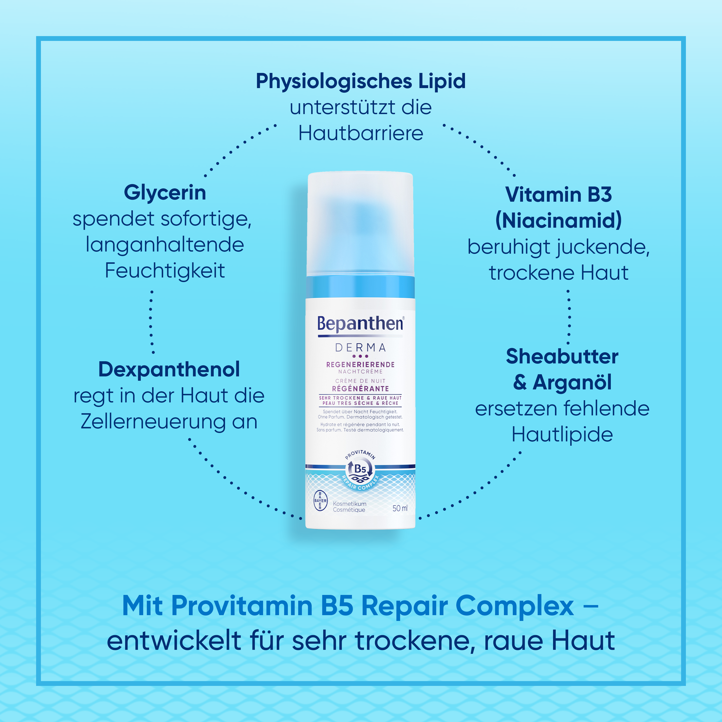  Bepanthen® DERMA Crème de Nuit Régénérante 50ml