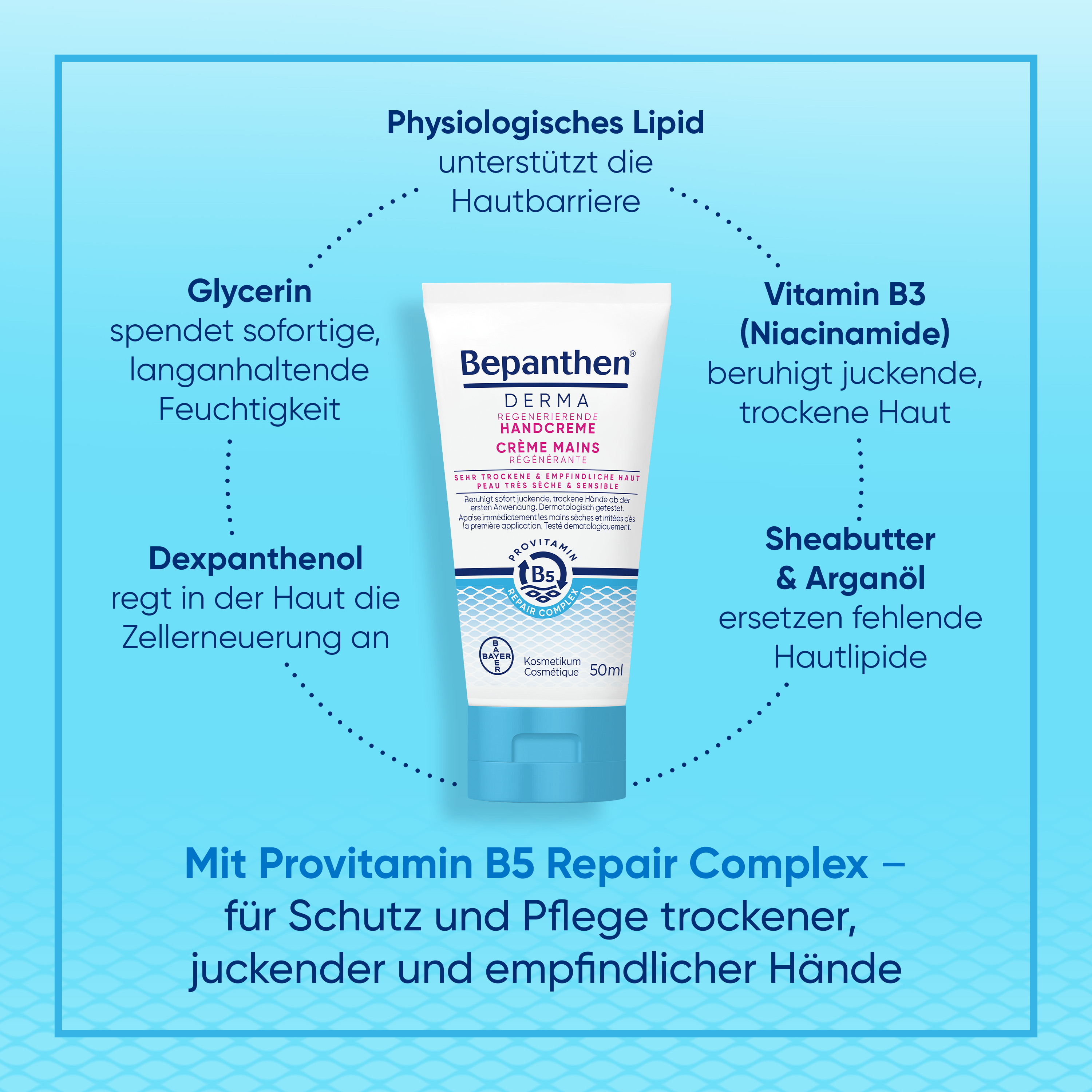 Bepanthen® DERMA Crème Régénérante pour les Mains 50ml