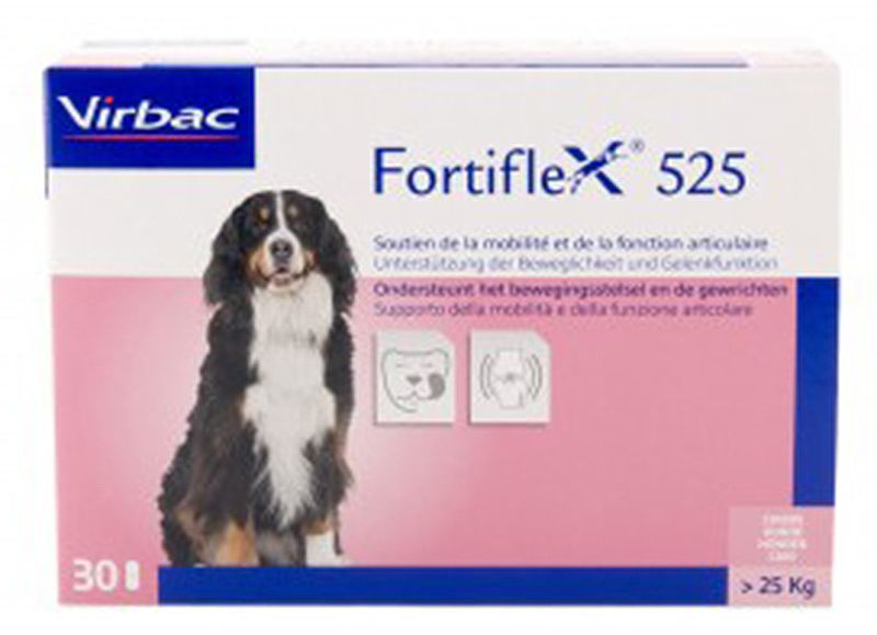 FORTIFLEX Tabl 525 mg Blist 30 pièces