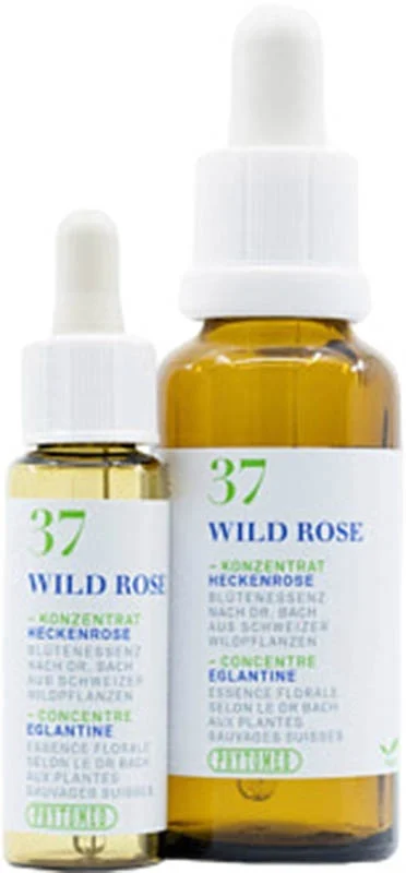 PHYTOMED Fleurs de Bach 37 Églantier 10 ml