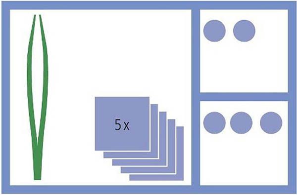 MediSet Kit de soin des plaies No94