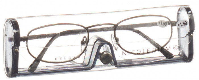 Lunettes de lecture Nesti Dante Belgrade, grises, 1,5 dpt