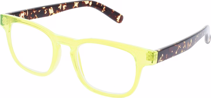 Lunettes de lecture INVU 2,50 dpt B6224G