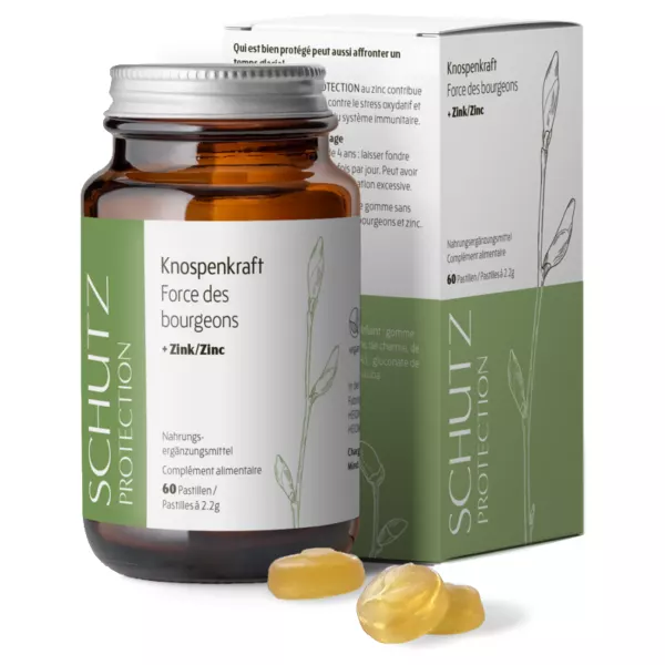 HEIDAK pastilles bourgeon protection Fl 60 pièces HEIDAK pastilles bourgeon protection Fl 60 pièces