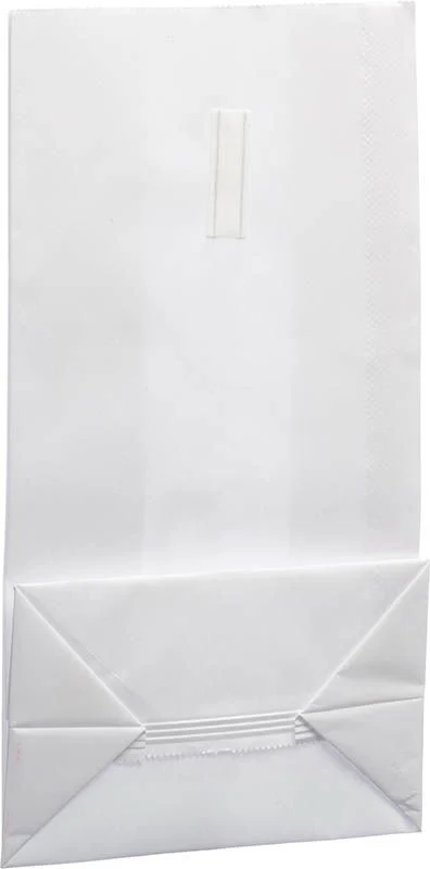 SÖHNGEN Sacs à vomir 23x12x8cm