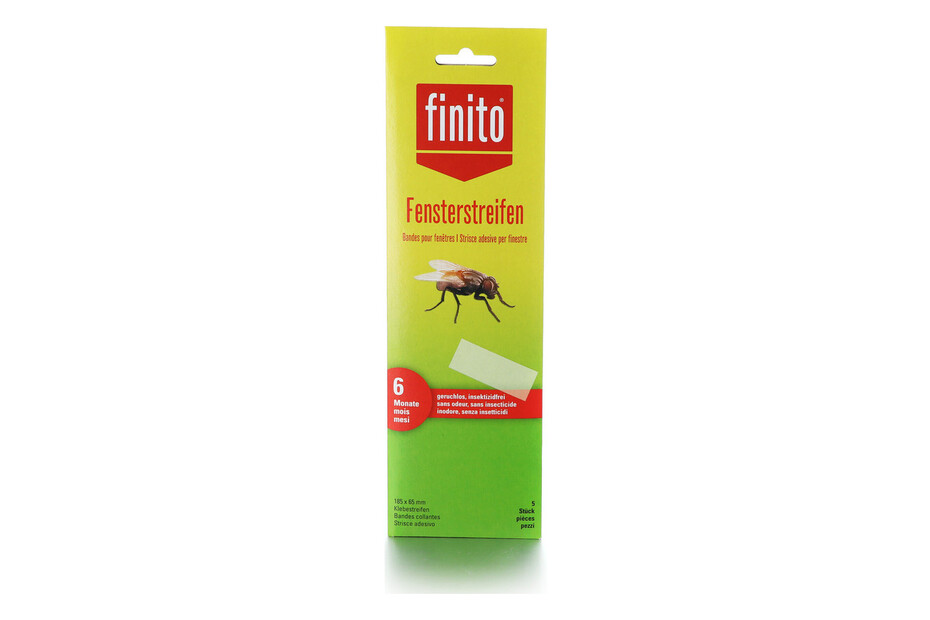 finito 3D bandes de fenêtre 5 pièces