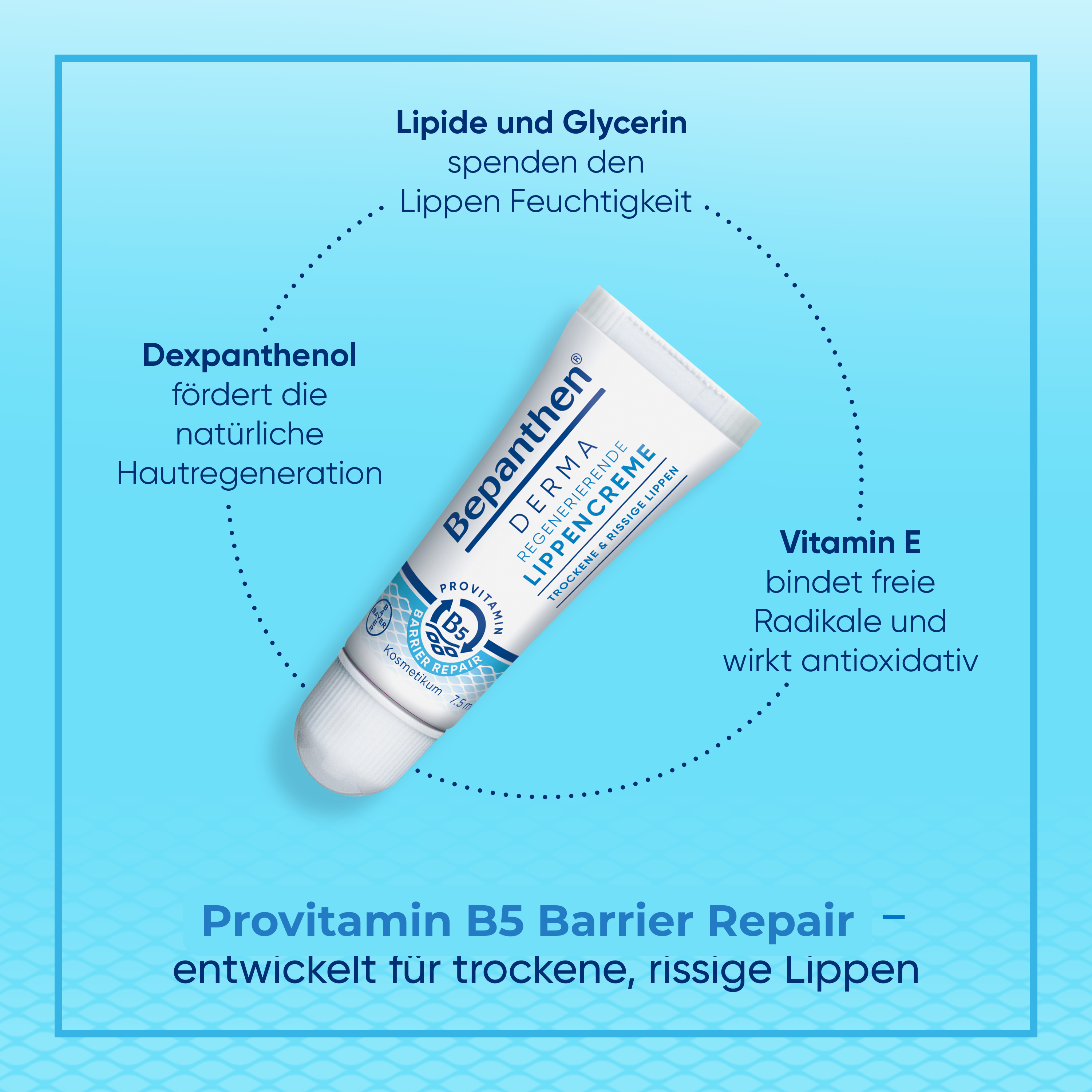 BEPANTHEN DERMA Crème à lèvres régénératrice (n) 7.5 ml
