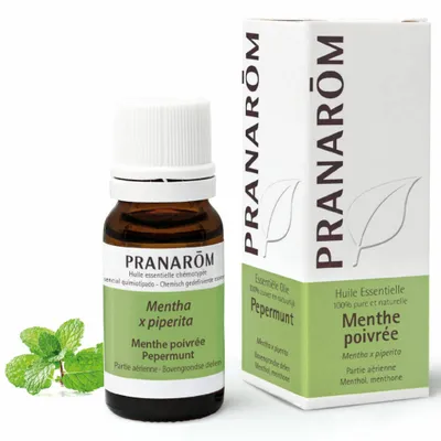 PRANAROM Huile essentielle de menthe poivrée bio 10ml PRANAROM Huile essentielle de menthe poivrée bio 10ml