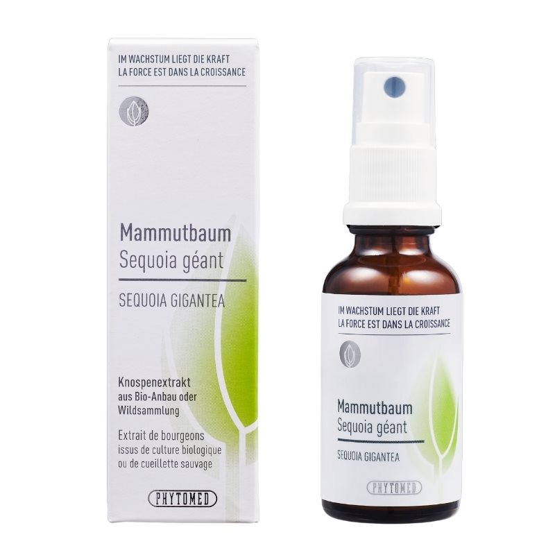 PHYTOMED Extrait de bourgeon de séquoia Spr 30ml PHYTOMED Extrait de bourgeon de séquoia Spr 30ml