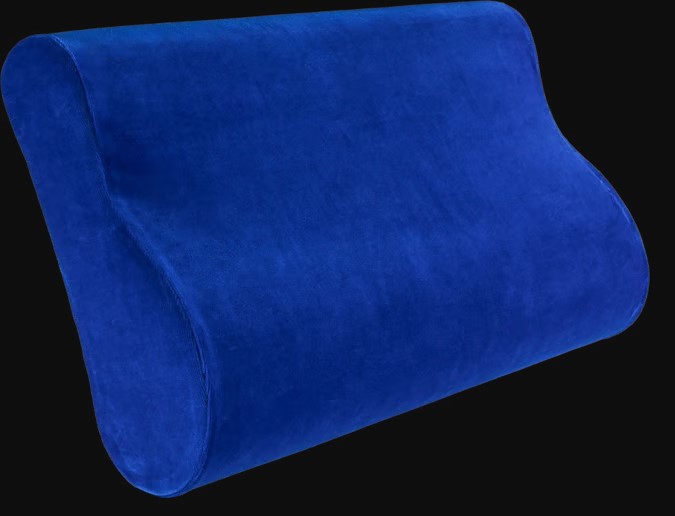 ELSA coussin nuque 50x9cm housse velours royal