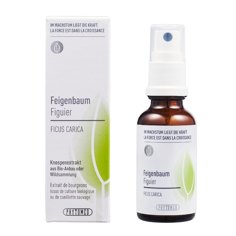 PHYTOMED Extrait de bourgeon de figuier Spr 30ml PHYTOMED Extrait de bourgeon de figuier Spr 30ml