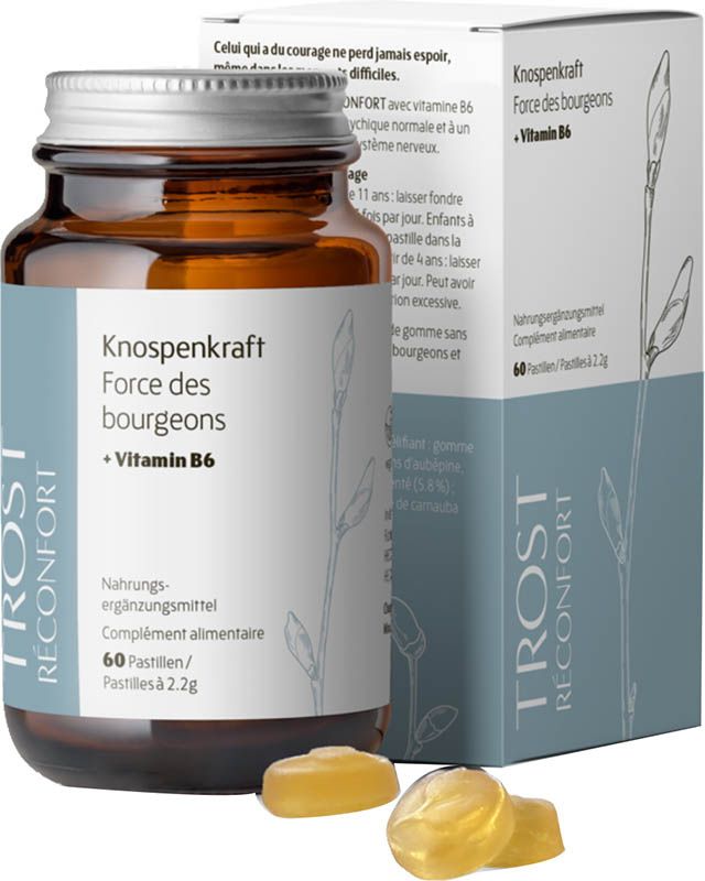 Pastilles de réconfort Heidak Bourgeon Fl 60 pièces Pastilles de réconfort Heidak Bourgeon Fl 60 pièces