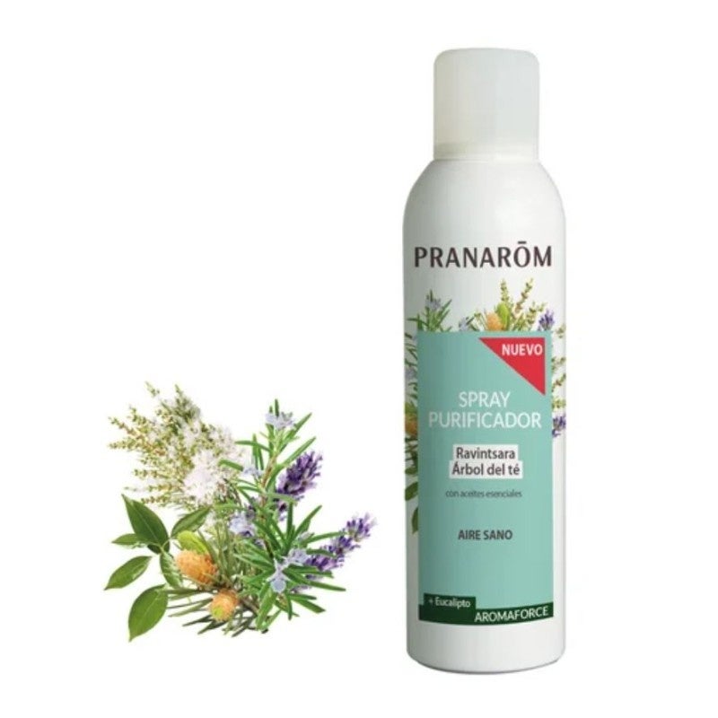 PRANAROM Aromaforce Spray nettoyant Ravintsara Tea Tree Bio Aeros 150ml PRANAROM Aromaforce Spray nettoyant Ravintsara Tea Tree Bio Aeros 150ml