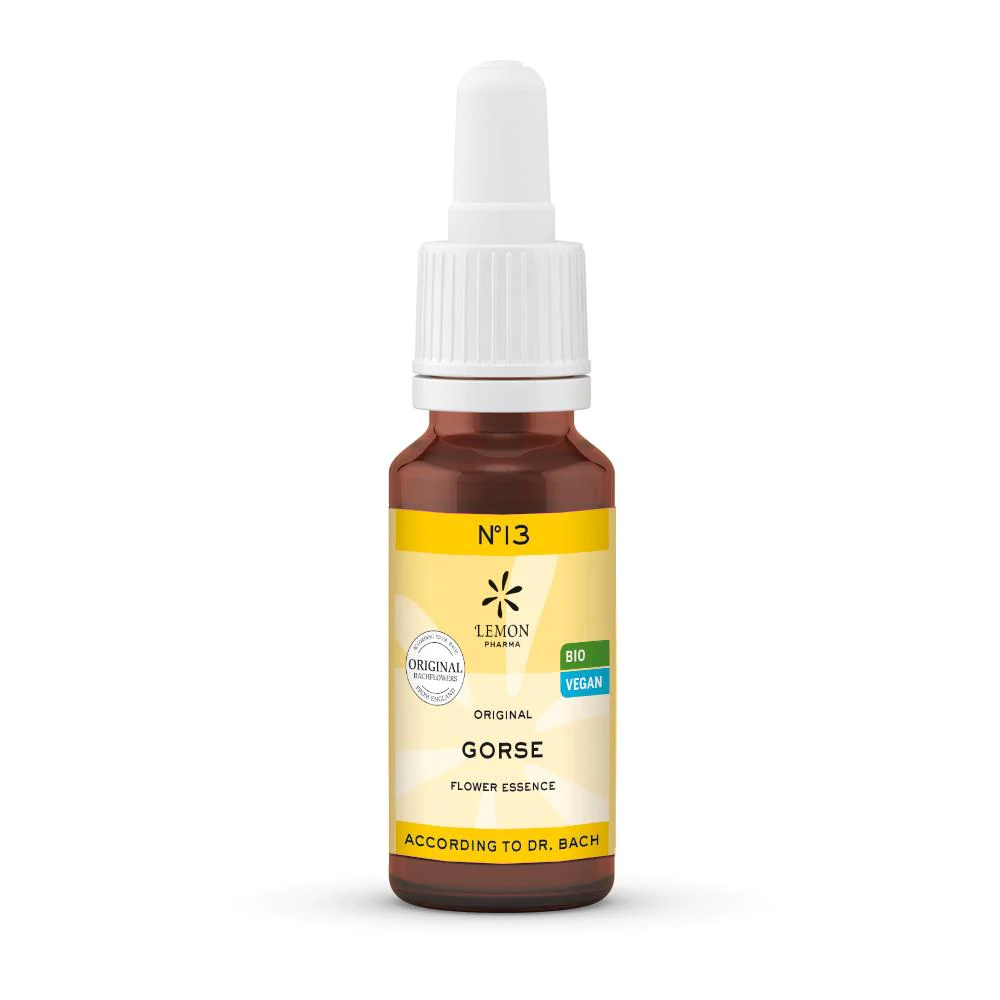 LEMON PHARMA Dr Bach 13 Gorse Ajonc 20ml LEMON PHARMA Dr Bach 13 Gorse Ajonc 20ml