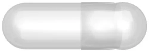 LGA Gelatinekapseln 00 transparent Box 500 Stück