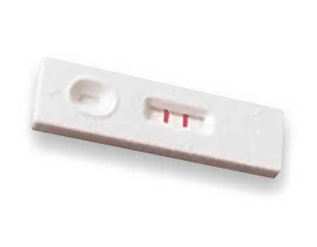 Test de grossesse Intex Gravi HCG