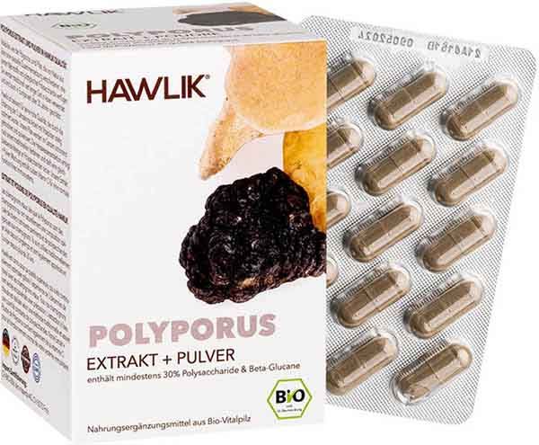 HAWLIK Polyporus extrait + poudre gélules 120 pièces