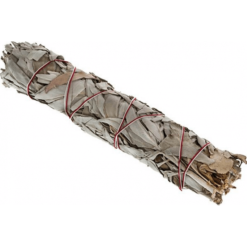 Indianherbs Sauge grande botte