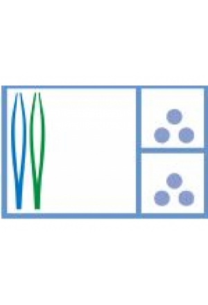 MediSet set de changement de pansements no 131