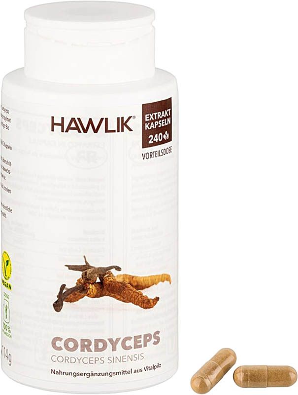 HAWLIK Extrait de Cordyceps en gélules 240 pièces