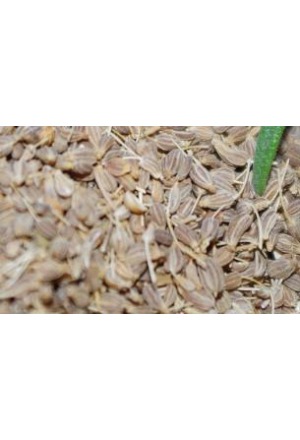 HÄNSELER Anisi fructus tot PhEur 60g