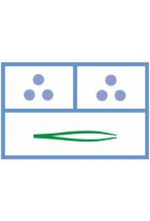 MEDISET Kit de soin des plaies CH1