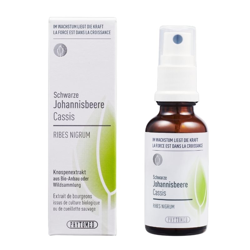 PHYTOMED Extrait de bourgeon de cassis Spr 30ml PHYTOMED Extrait de bourgeon de cassis Spr 30ml