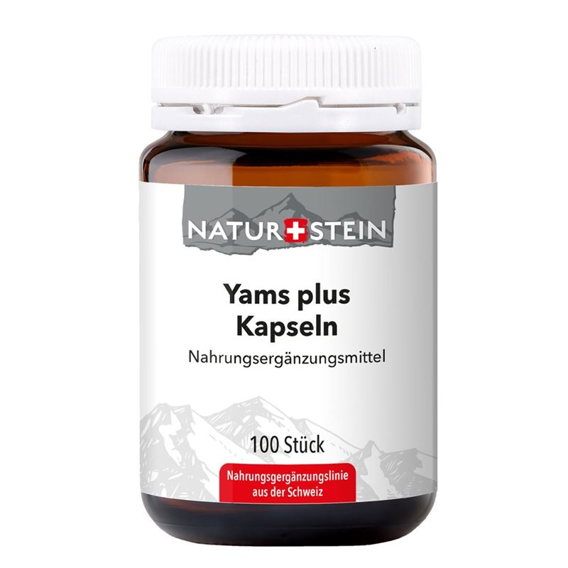 Pierre naturelle igname plus gélules 100 pièces Pierre naturelle igname plus gélules 100 pièces