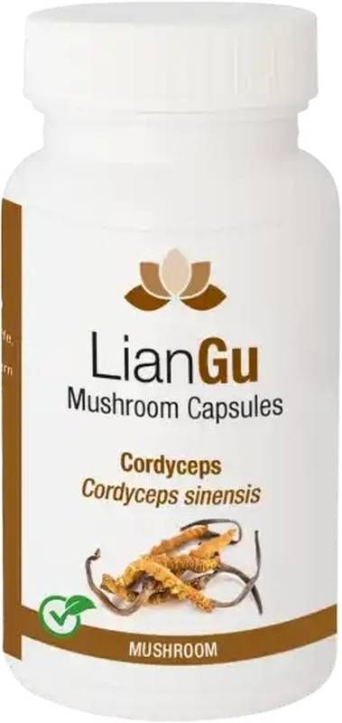 LianGu Cordyceps Mushrooms en capsules Ds 120 pièces LianGu Cordyceps Mushrooms en capsules Ds 120 pièces