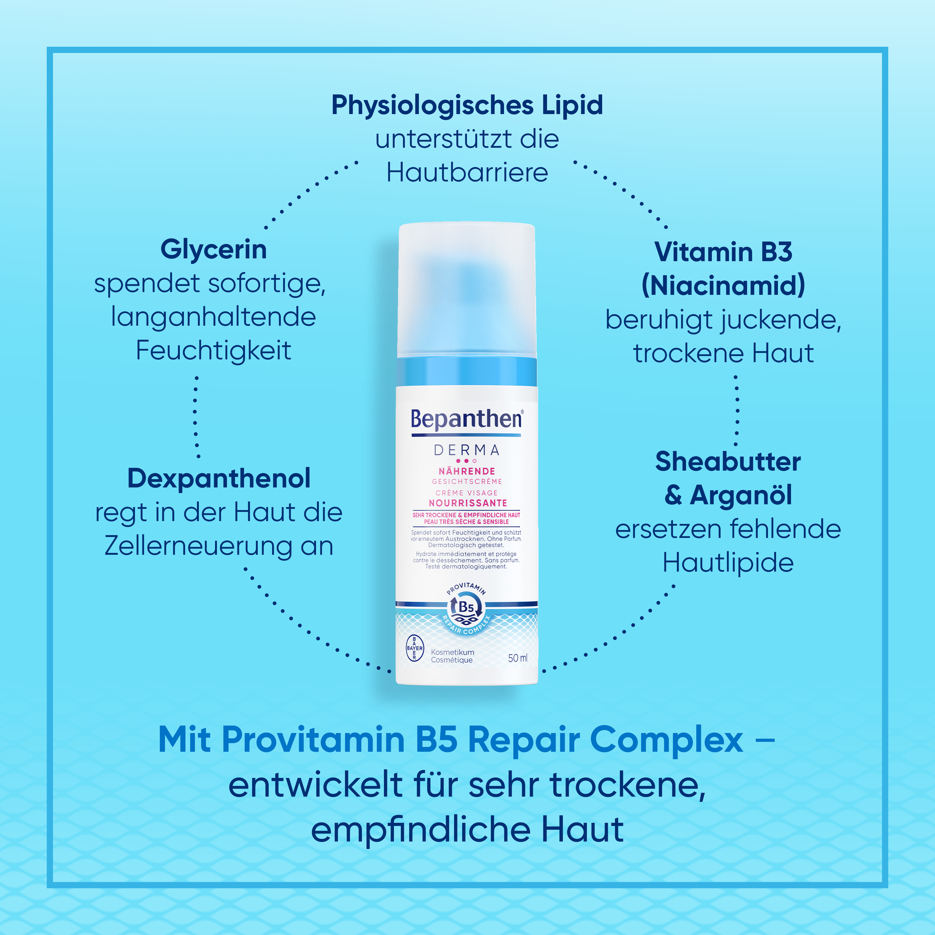 Bepanthen® DERMA Crème Nutritive pour le Visage 50ml