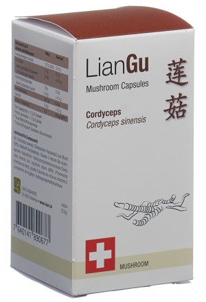 LianGu Cordyceps Mushrooms en gélules 60 pièces LianGu Cordyceps Mushrooms en gélules 60 pièces