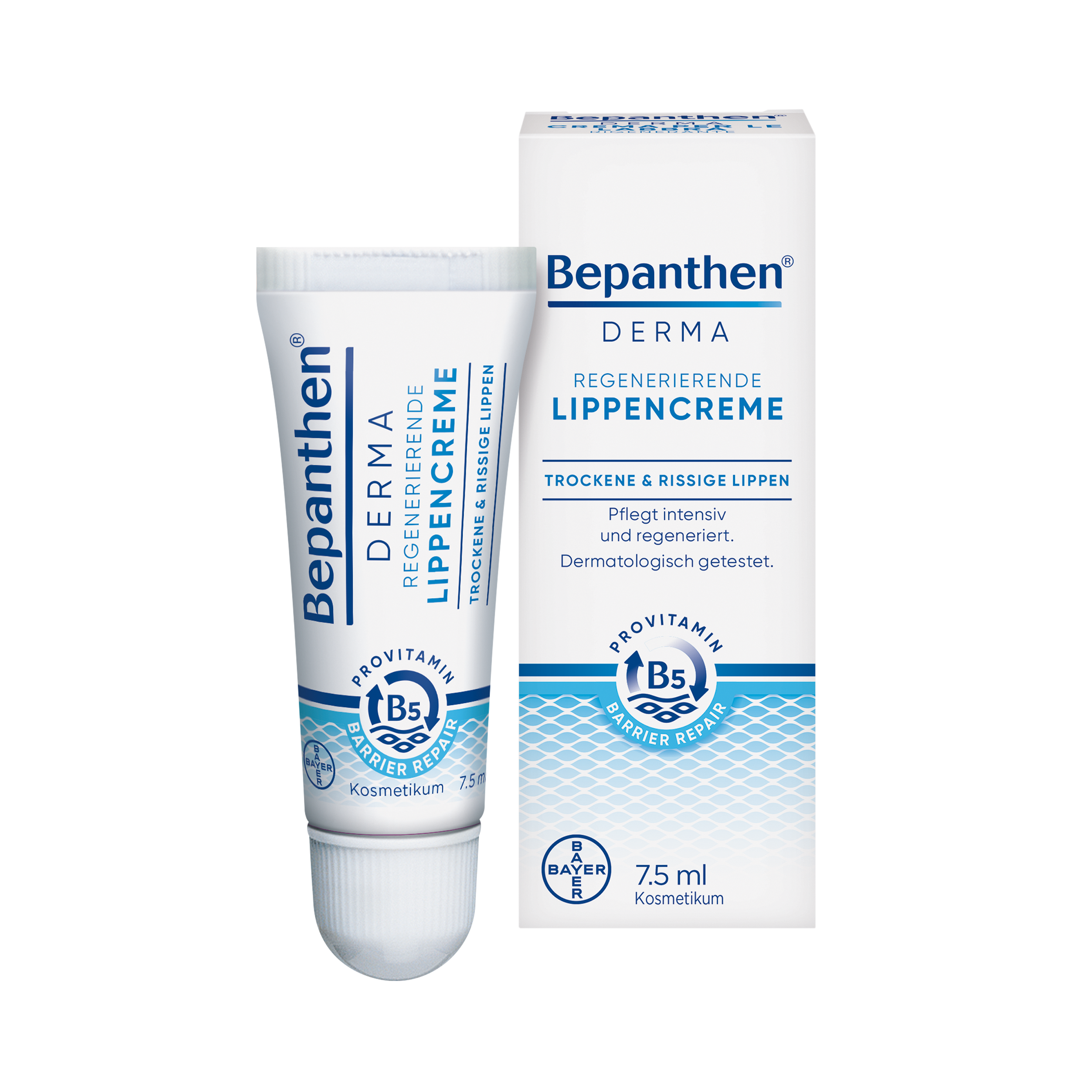 BEPANTHEN DERMA Crème à lèvres régénératrice (n) 7.5 ml