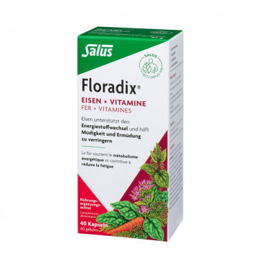 Floradix Fer + Vitamines en gélules 40 pièces Floradix Fer + Vitamines en gélules 40 pièces