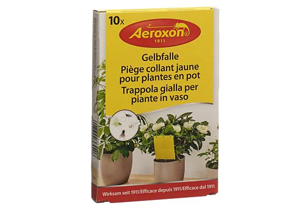AEROXON Piège à jaunes pour plantes en pot 10 pièces
