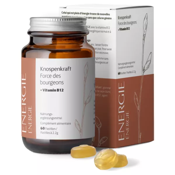Pastilles énergie Heidak Bourgeon Fl 60 pièces Pastilles énergie Heidak Bourgeon Fl 60 pièces