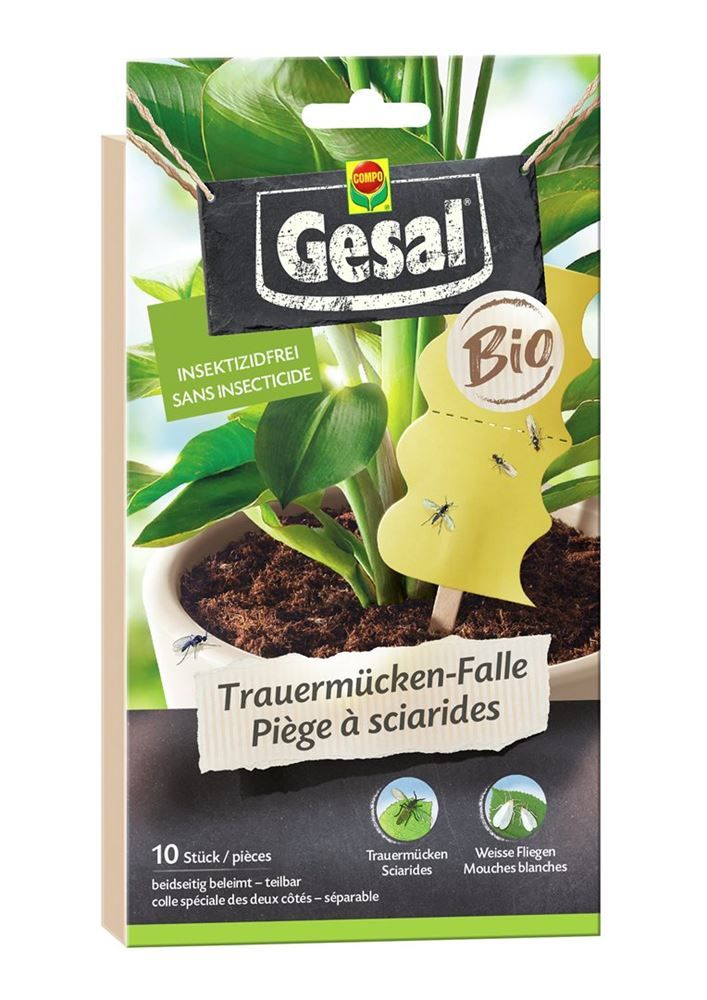 GESAL Piège à sciarides Bio 10 pièces GESAL Piège à sciarides Bio 10 pièces