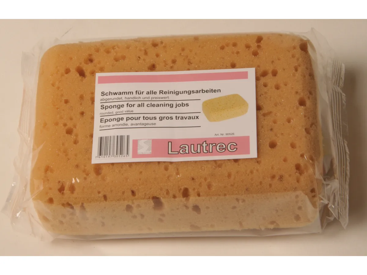 FRINA BADY éponge à nettoyer