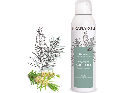 PRANAROM Hydrolat d'arbre à thé organique bio 150ml PRANAROM Hydrolat d'arbre à thé organique bio 150ml