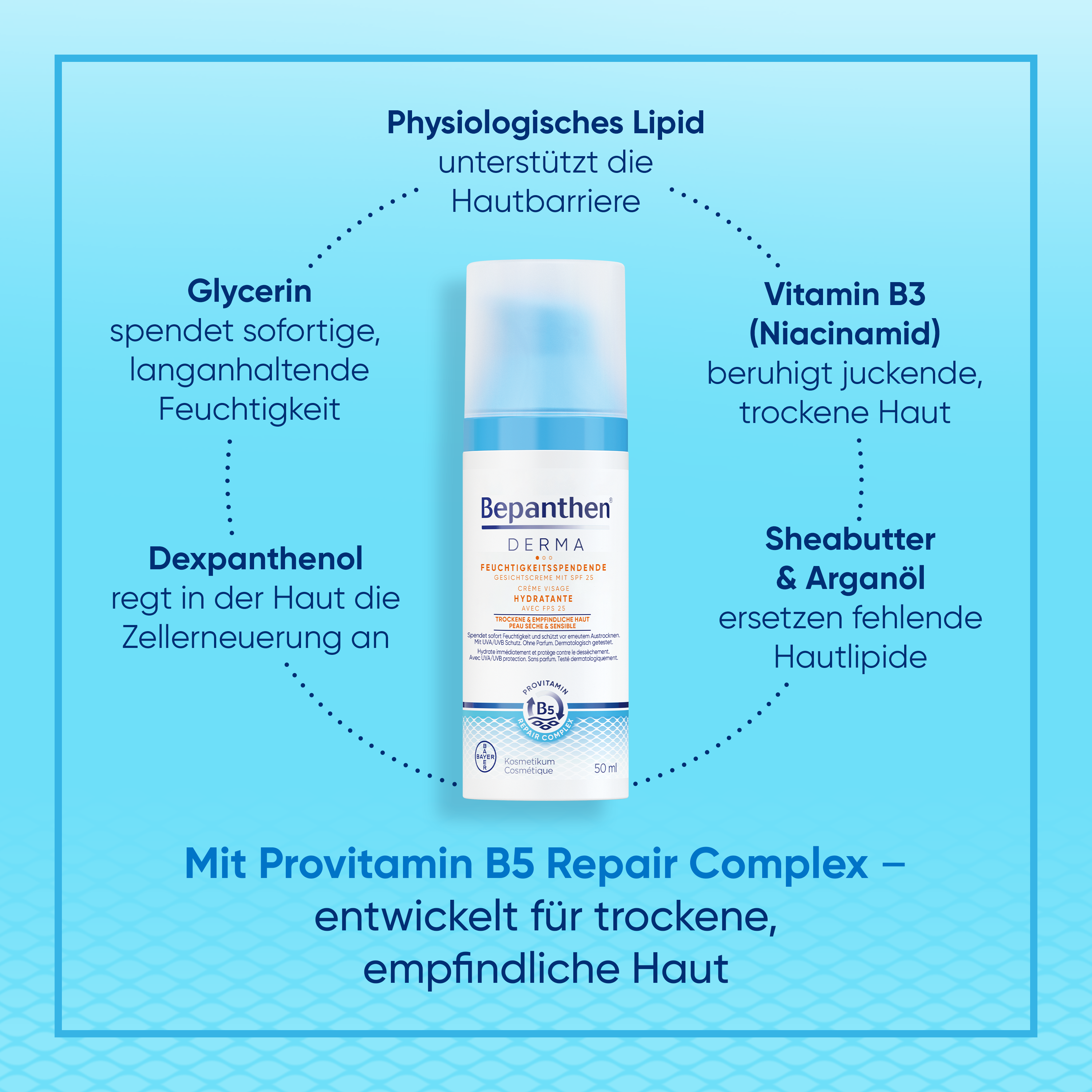 Bepanthen® Derma Crème hydratante pour le visage SPF25 50ml