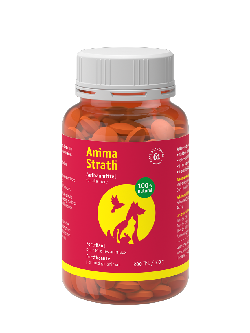 ANIMA STRATH Comprimés reconstituants 200 pièces