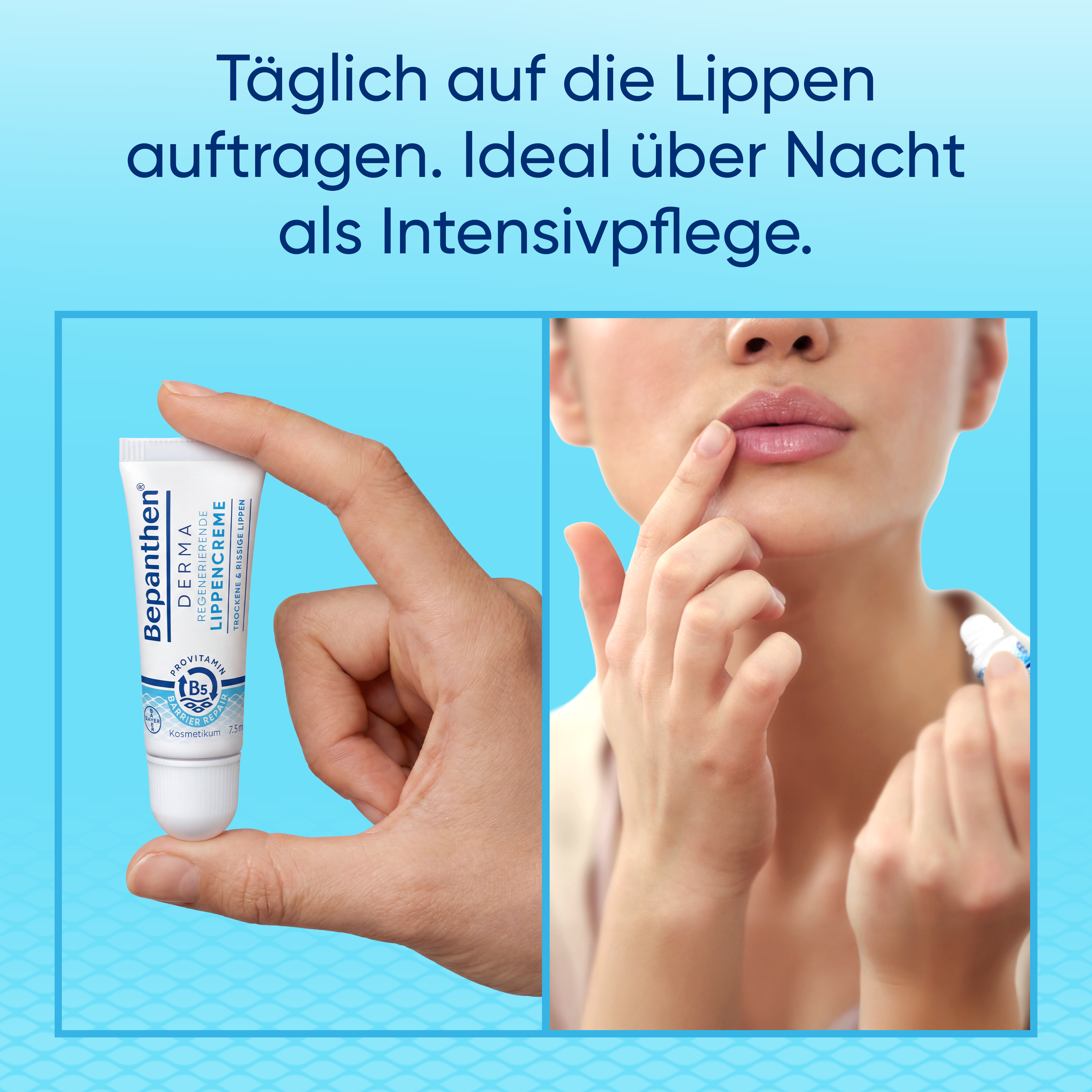 BEPANTHEN DERMA Crème à lèvres régénératrice (n) 7.5 ml