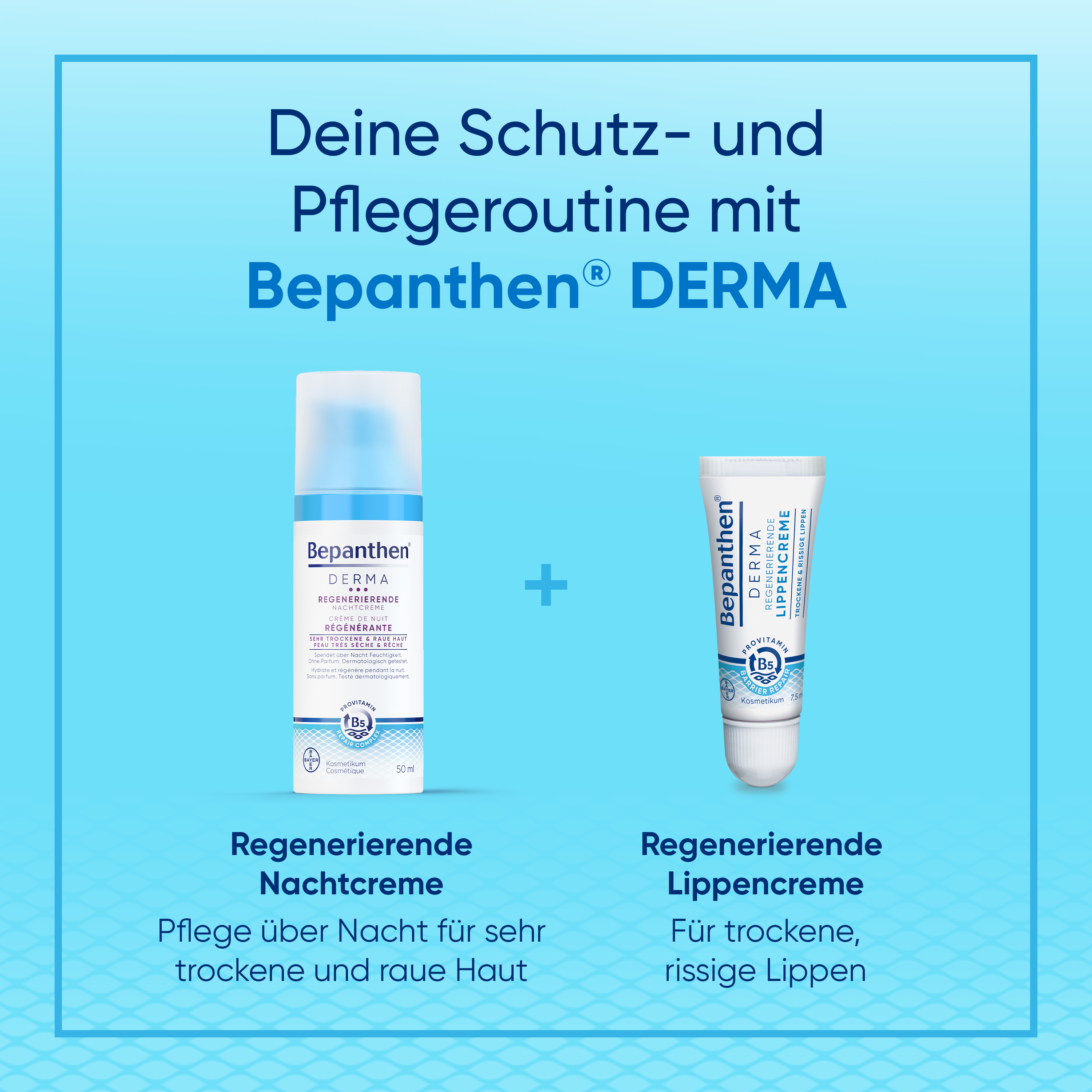 BEPANTHEN DERMA Crème à lèvres régénératrice (n) 7.5 ml