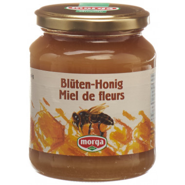 Morga Miel de fleurs étranger pot 500g Morga Miel de fleurs étranger pot 500g